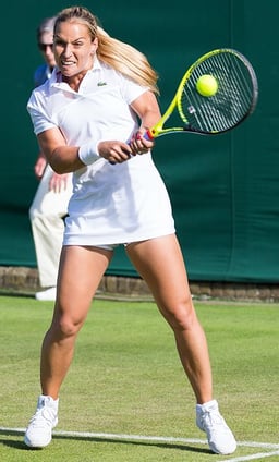 What's the highest WTA ranking Cibulková achieved?