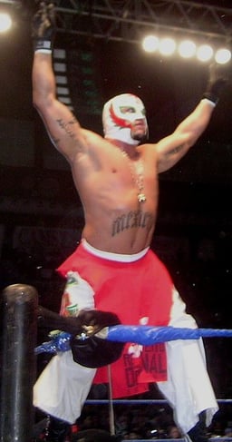How many world championships has Rey Mysterio won in WWE and WCW combined?