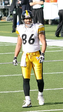 In what year was Hines Ward born?