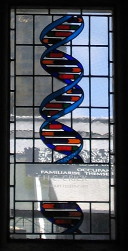 Which scientist did not directly collaborate with Crick on the DNA structure discovery?