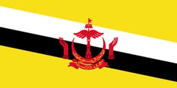 Brunei national football team