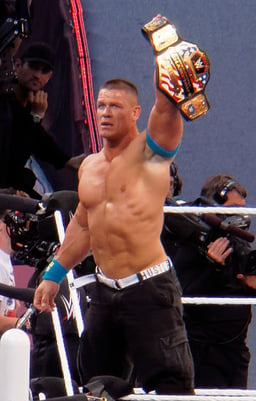 Which fields of work was John Cena active in? [br](Select 2 answers)