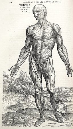 At what age did Vesalius publish'De Humani Corporis Fabrica'?