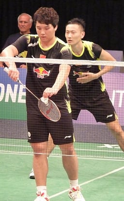 How many BWF World Championships golds did Zhang Nan and Zhao Yunlei win together?