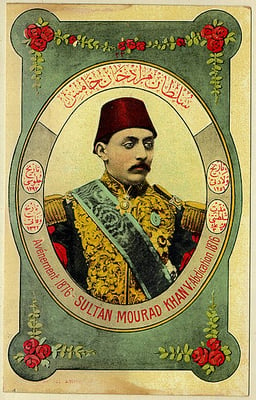 How long did Murad V reign?