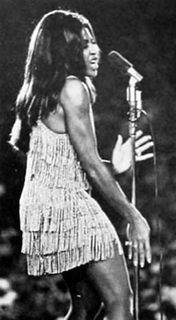 How many Grammy Awards has Tina Turner won throughout her career?