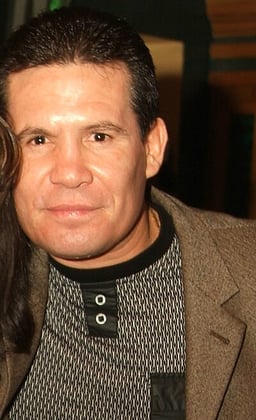 During his career, how many times did Chávez hold the WBC light welterweight title?