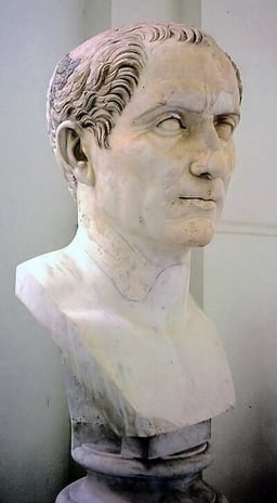 What does Julius Caesar look like?