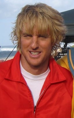 What role does Owen Wilson take in the film "The Internship" (2013)?