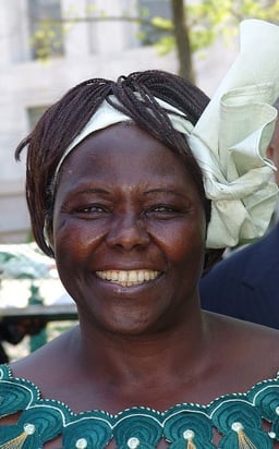Which organization did Wangari Maathai found?