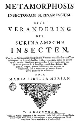 Who considered Merian a significant contributor to entomology?