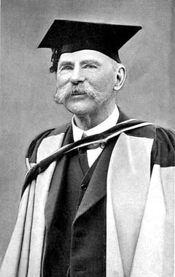 How did Douglas Hyde primarily travel to official engagements?