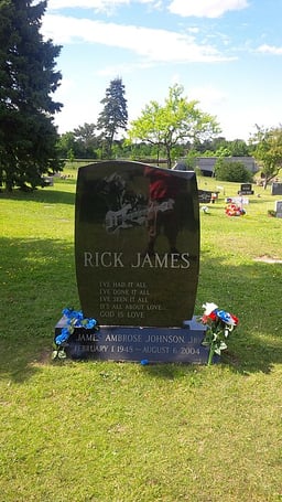 Which Motown Records artist did Rick James write and produce songs for?