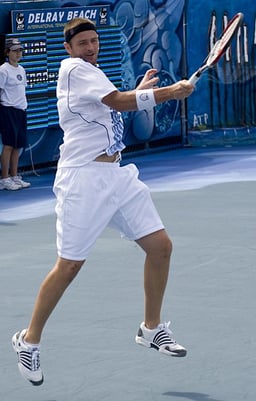 In which Grand Slam did Mardy Fish reach the quarterfinals in 2008?