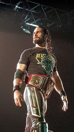 With which wrestler did Seth Rollins form the Age of the Fall stable in ROH?