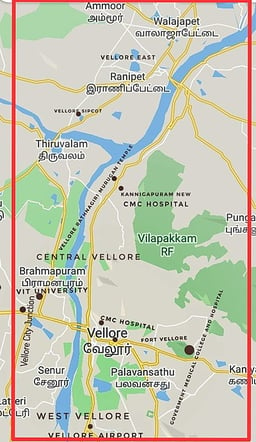 Which riverbank is Vellore situated on?