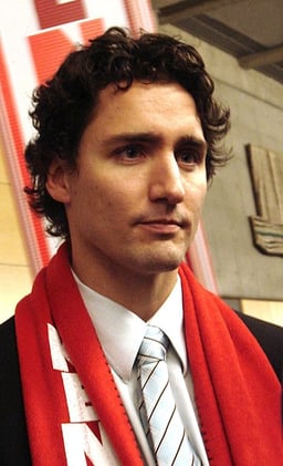 Which fields of work was Justin Trudeau active in? [br](Select 2 answers)