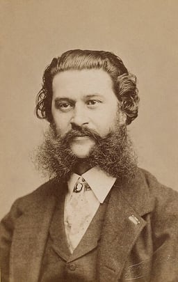 How many brothers did Johann Strauss II have that followed his career path?