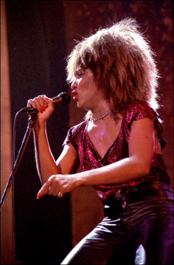 In which year did Tina Turner retire from performing?