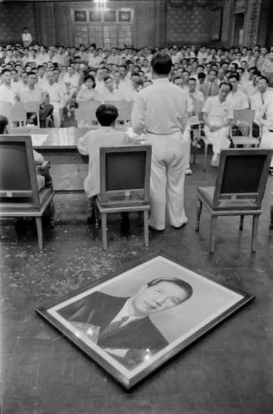 What was the main criticism against Bảo Đại?