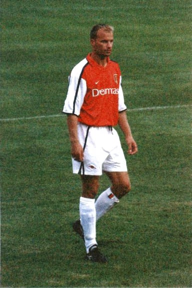 Which year did Bergkamp make his professional debut?