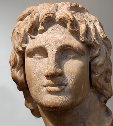 What does Alexander The Great look like?