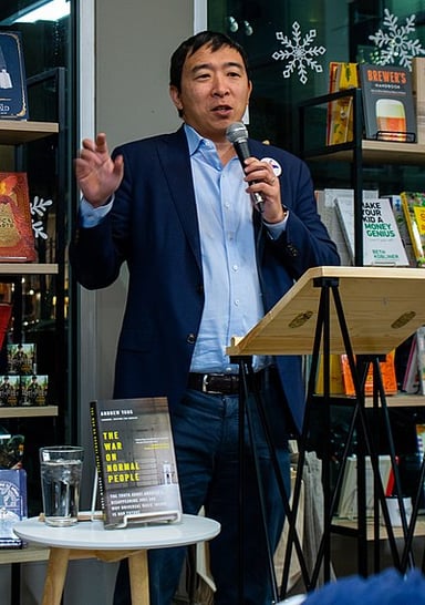 Andrew Yang wrote a book called "The War on Normal People". What's it about?