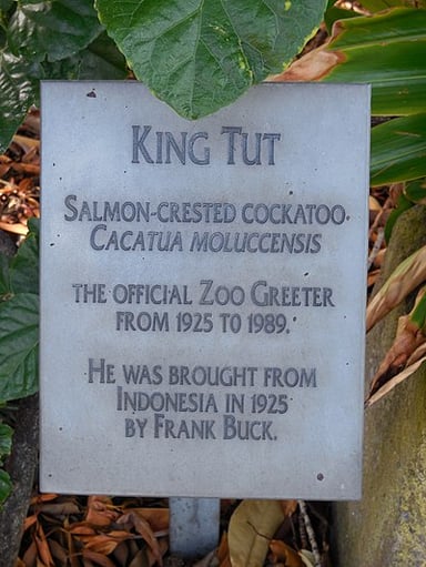 Which zoo was Frank Buck a director of?