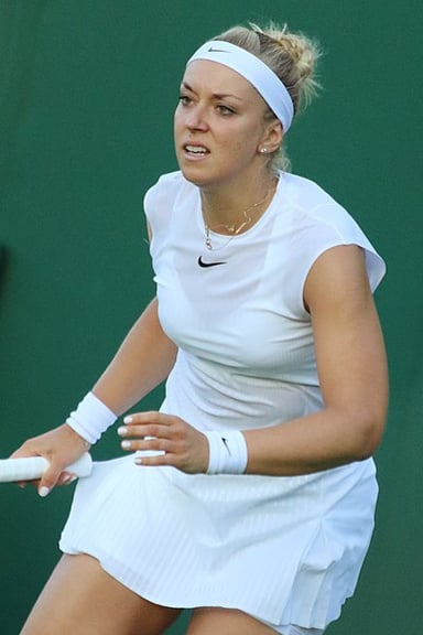 In which year did Lisicki reach the quarterfinals of Wimbledon for the first time?