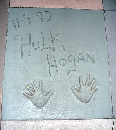 How old is Hulk Hogan?