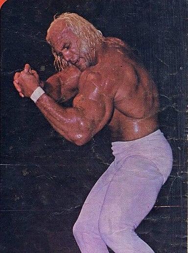 What did Superstar Billy Graham revolutionize in the professional wrestling industry?