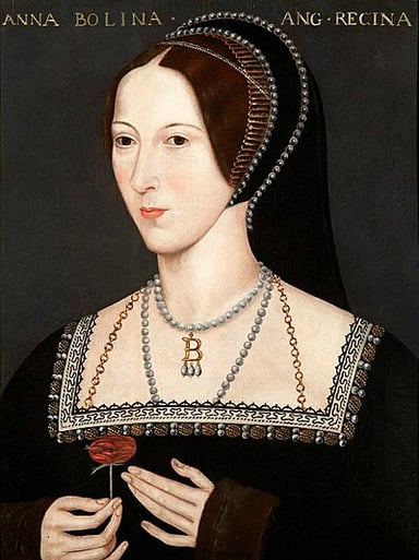 What hair colors does Anne Boleyn have?[br](Select 2 answers)