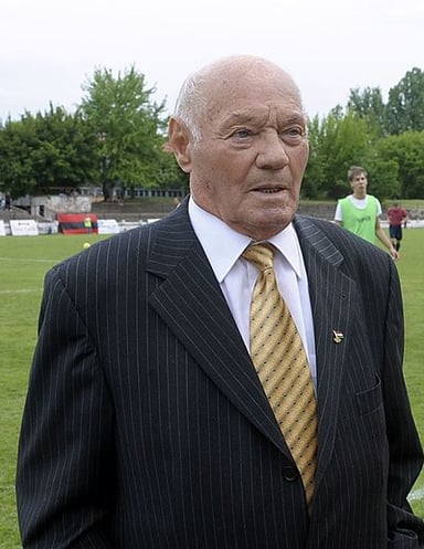 What was Buzánszky's role in the Hungarian Football Federation in 1996?