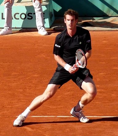 What does Andy Murray look like?