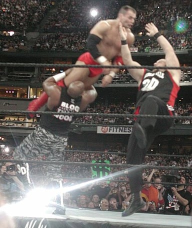 Which wrestling company did the Dudley Boyz revive tag team wrestling in during the Attitude Era?