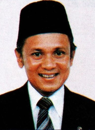 What was the name of the university where B. J. Habibie studied in Germany?