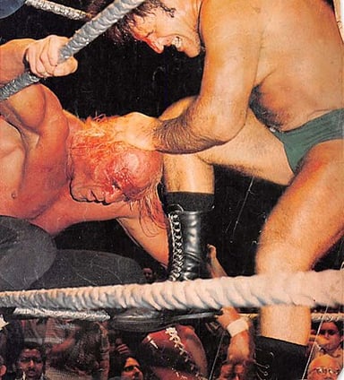Which of these wrestlers was NOT a protégé of Superstar Billy Graham?