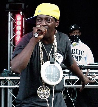 What kind of shows has Flavor Flav ventured into?