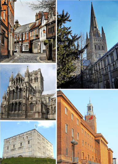Which famous English author was born in Norwich?
