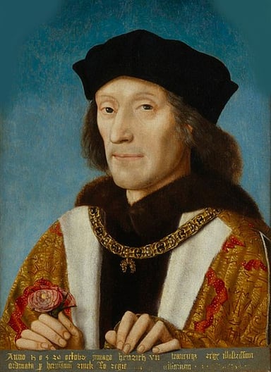 What is the noble title that Henry VII holds?