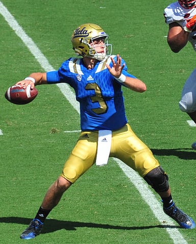 Which college did Josh Rosen play for?