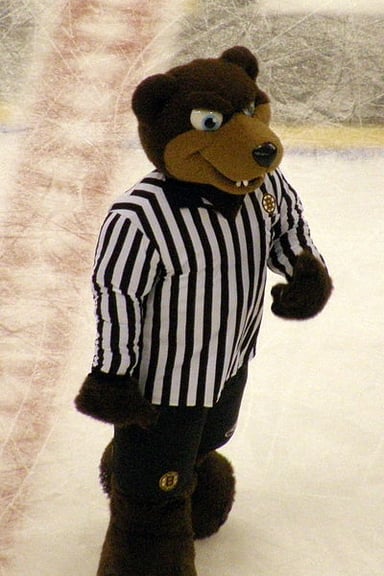 What is the mascot of the Boston Bruins?