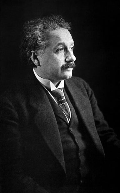 Which of the following fields of work was Albert Einstein active in?