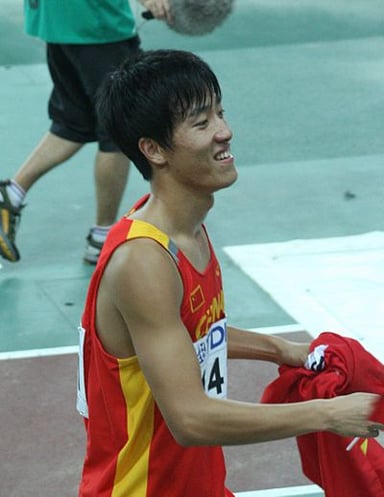 How many years did Liu Xiang compete professionally before his retirement?