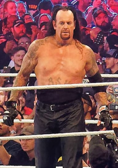 The Undertaker's most well-known occupation is?