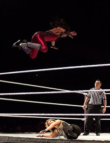 Tamina Snuka’s debut match was against which wrestler?