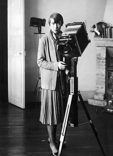 Berenice Abbott's work presents a powerful visual history of which era?