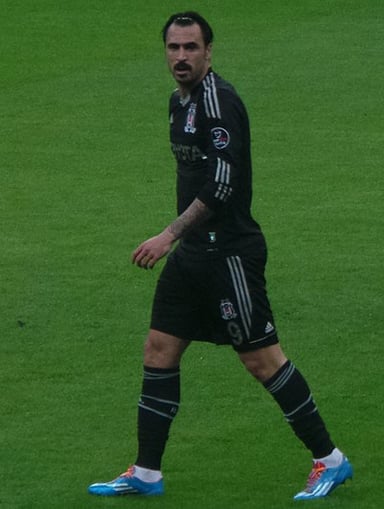 How many goals did Hugo Almeida score for Beşiktaş?