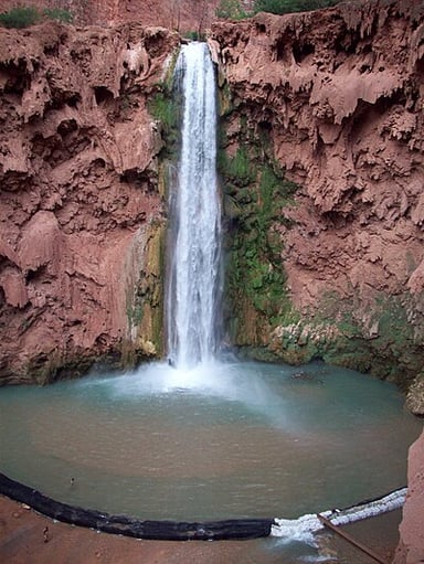 How much of their ancestral land did the Havasupai regain in 1975?