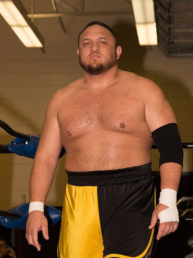 In which year did Samoa Joe officially debut in WWE's NXT?